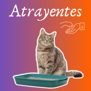 Atrayente