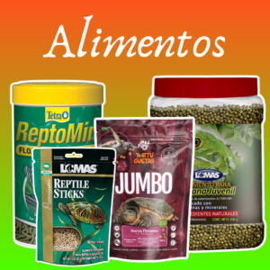 Alimento