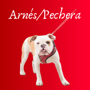 Arnés/Pechera