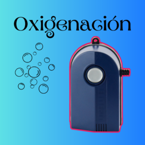 Oxigenación