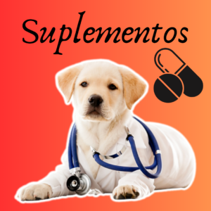 Suplementos