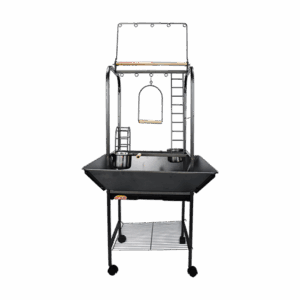 Gimnasio para Loro