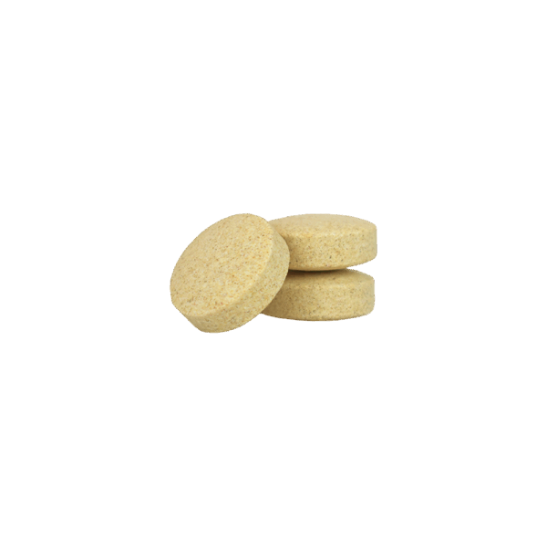 MS-Immune Tabletas Masticables para Perro 60 Tabletas - Imagen 2